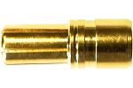 5,5 mm Goldstecker / male, lo