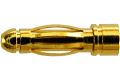 3,0 mm Goldstecker, lose |, B